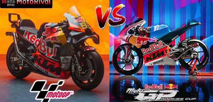 MotoGP vs Rookie Cup