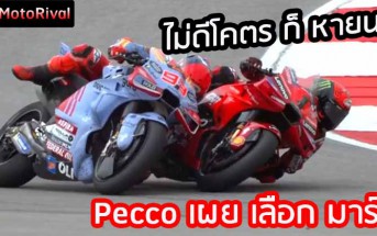 Pecco-SuperGood-Diaster