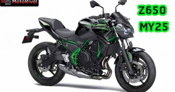 2025 Kawasaki Z650