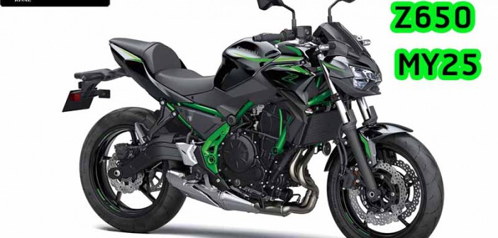 2025 Kawasaki Z650